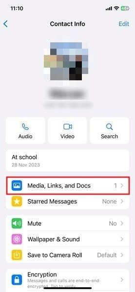 Нажмите на опцию «Медиа, ссылки и документы» в WhatsApp для iOS.