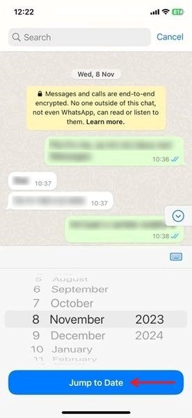 Установка даты для просмотра сообщений от этой даты в WhatsApp для iOS.