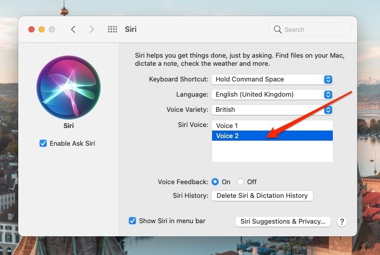 Снимок экрана, показывающий, как изменить голос Siri на Mac