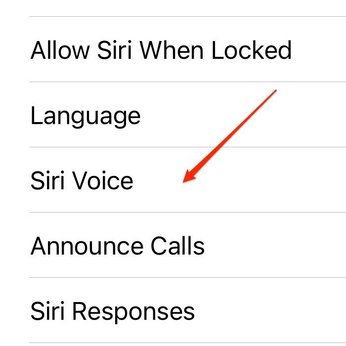 Настройки Siri Voice для iPhone