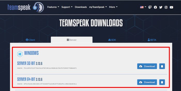 Сервер страницы загрузок Teamspeak