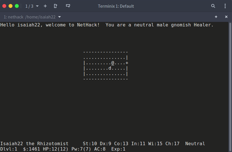 терминал-игры-nethack