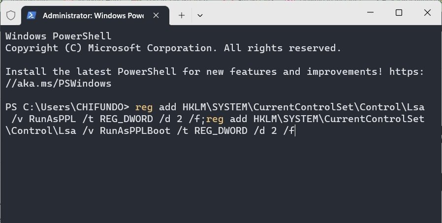 Ввод команды в Powershell.