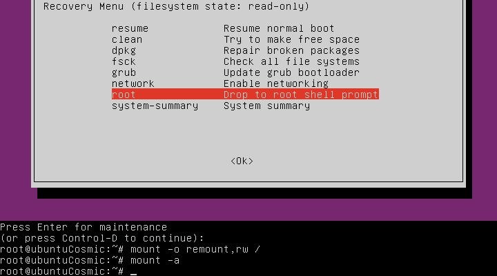 Перемонтируйте свои диски как root в Ubuntu