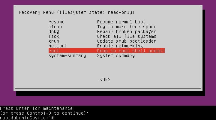 Загрузочная корневая оболочка Ubuntu Recovery