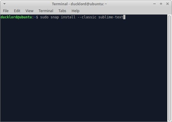 Ubuntu Sublime Text для Html Terminal Snap Classic