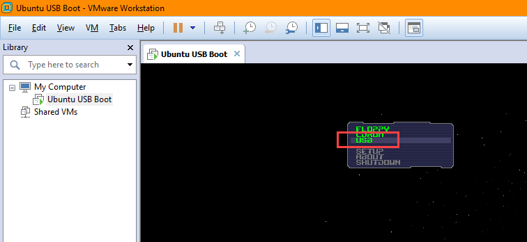 USB-загрузка-VMware-выбрать-USB-опция