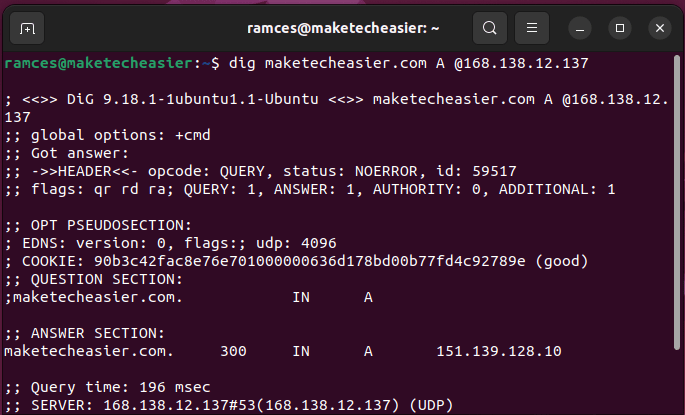 Используйте Dig Linux 14 Dig Custom DNS-сервер