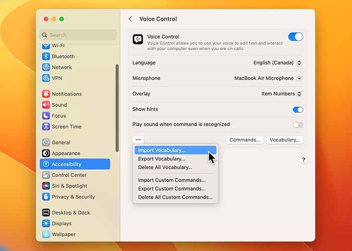 Использование голосового управления на Mac. Импорт словаря