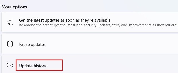 Нажмите «История обновлений» в разделе «Дополнительные параметры».