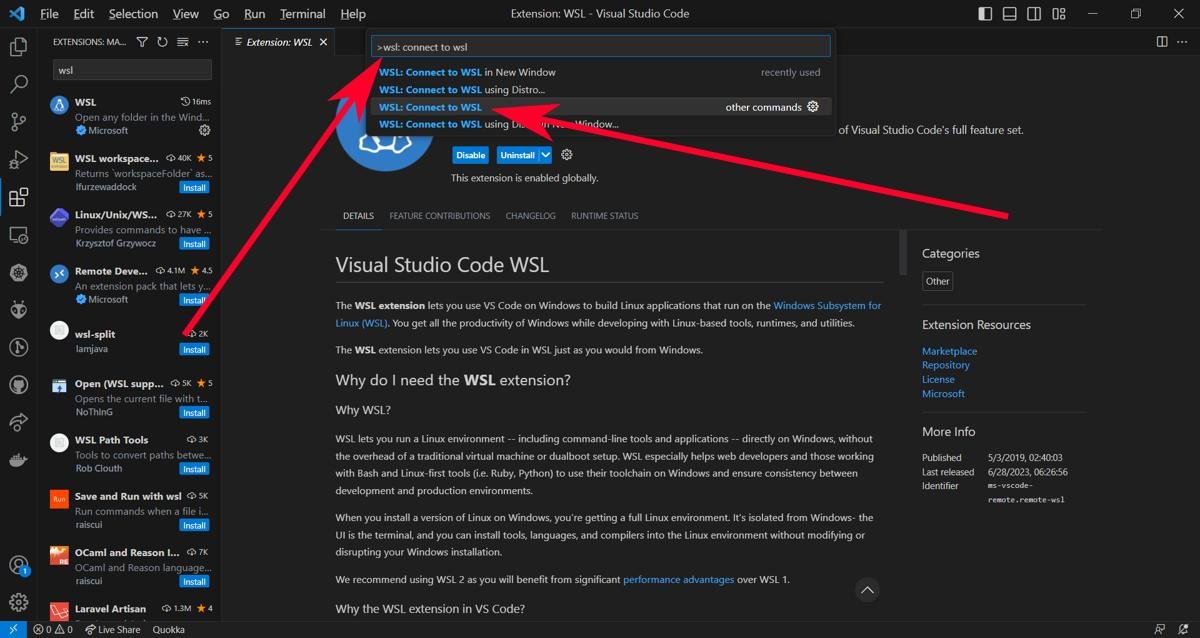 Код Visual Studio для подключения к WSL