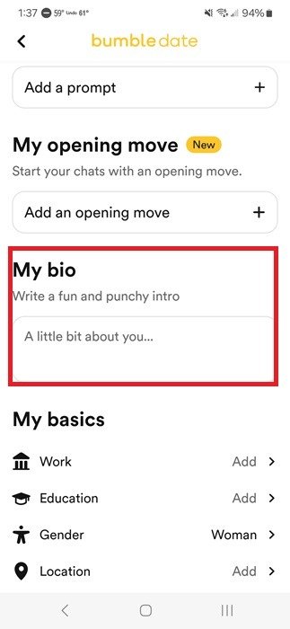 Заполнение биографии на Bumble.