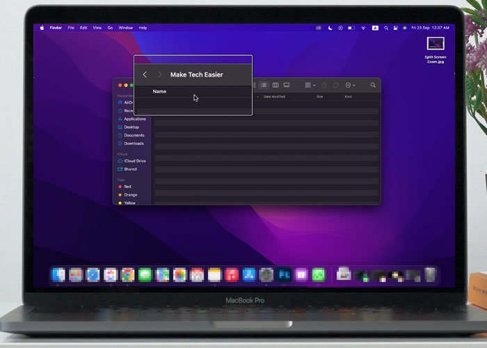 Что такое специальные возможности на Mac «Картинка в картинке» Zoom