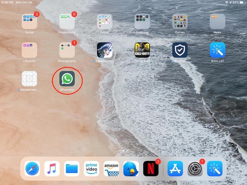 WhatsApp Ipad без джейлбрейка, домашний экран