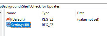 win10-check-for-updates-create-setting-uri-value