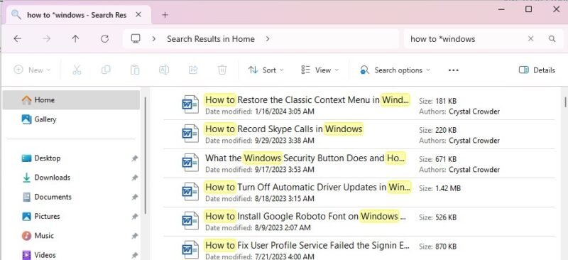 Фильтры Windows для поиска по подстановочным знакам файлов