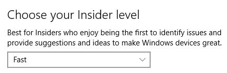 Windows-Insider-win10-select-build-ring