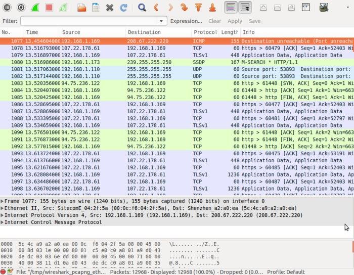 Wireshark-Live-захват