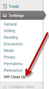 Перейдите в раздел «Очистка WP» в разделе «Настройки».