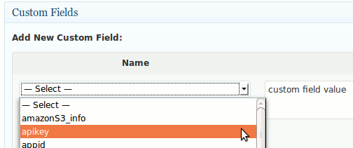 wp-custom-fields