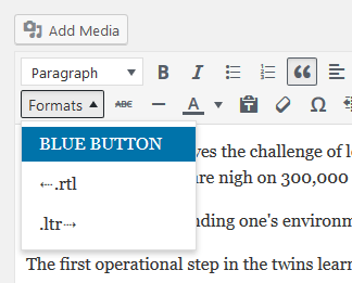 wp-post-editor-style-option-2