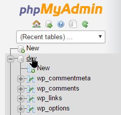 wp-remove-comment-ip-address-select-database