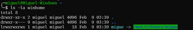 Перечисление домашнего каталога Windows из WSL после создания символической ссылки