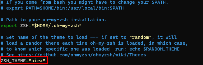 Настройка темы Zsh в разделе Oh My Zsh с помощью редактора Nano