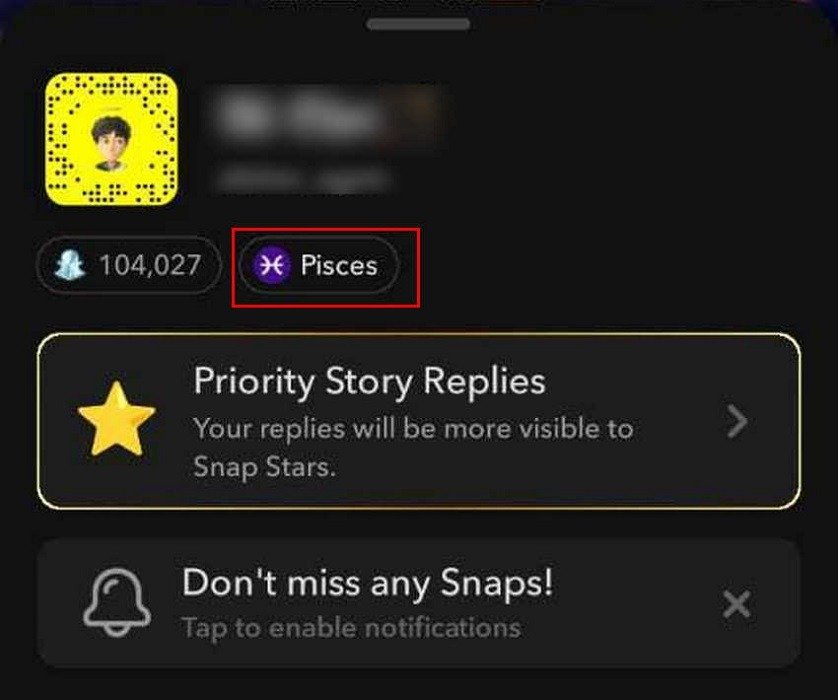Просмотр знака зодиака Рыбы в Snapchat в пользовательском меню.