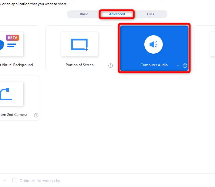 Zoom Advanced Computer Audio Поделиться