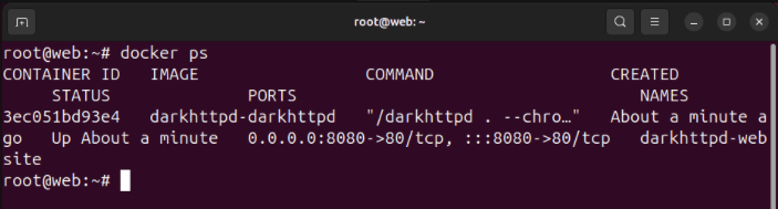 Терминал, показывающий Docker-контейнер darkhttpd, работающий в системе.