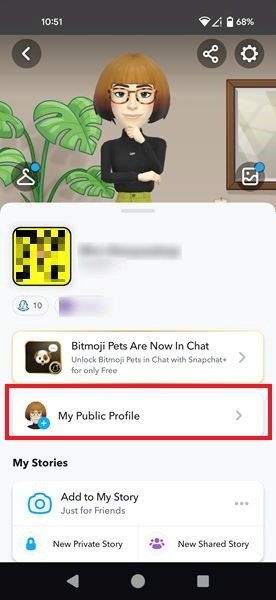 Нажмите на опцию «Мой общедоступный профиль» в мобильном приложении Snapchat.