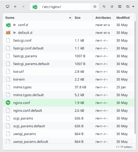 Снимок экрана, показывающий каталог «/etc/nginx» на удаленном сервере.