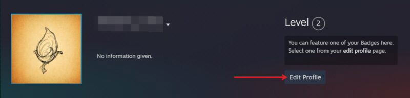 Нажмите кнопку «Редактировать профиль» в своем профиле Steam в клиенте Steam для ПК.