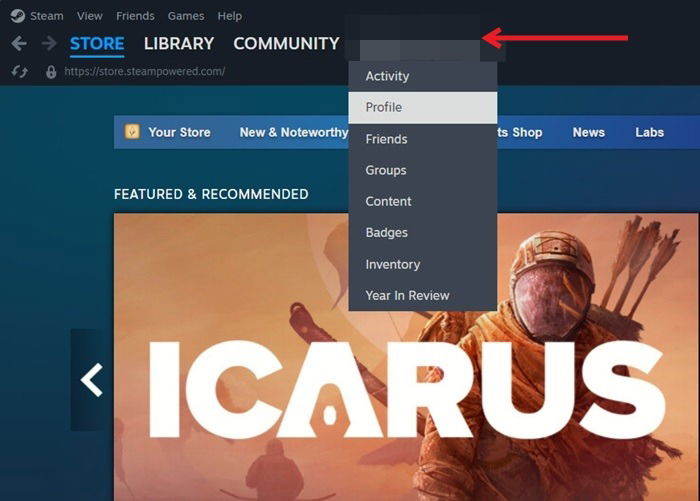 Выбор параметра «Профиль» в клиенте Steam для настольного компьютера.