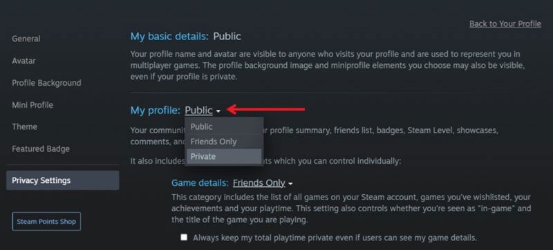 Переключение профиля с публичного на приватный в клиенте Steam для ПК.