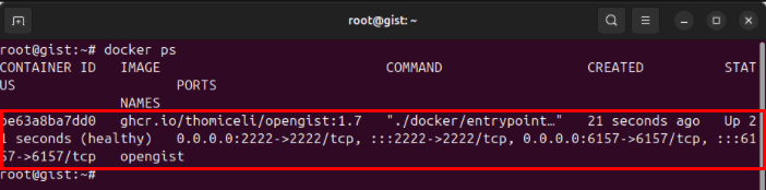 Терминал, показывающий работающий контейнер Opengist Docker.