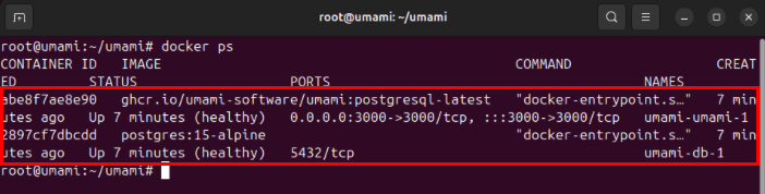 Терминал, показывающий два контейнера Umami, работающие на сервере Ubuntu.