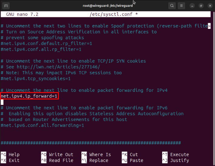 Терминал, показывающий расположение параметра переадресации IPv4 в sysctl.conf.