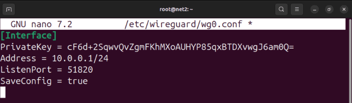 Терминал, показывающий пример конфигурации WireGuard со статическим адресом.