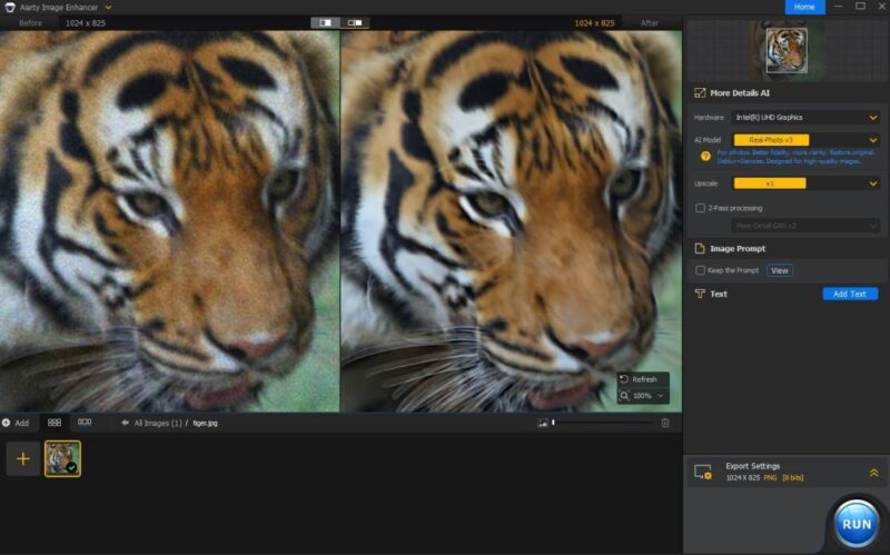 Aiarty Image Enhancer X1 Enhance