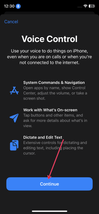 Нажмите «Продолжить» в настройках голосового управления iPhone.