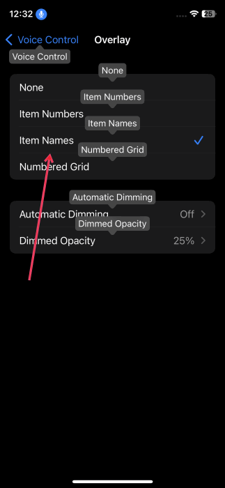 Выбор опции «Имена элементов» в меню «Голосовое управление» на iPhone.
