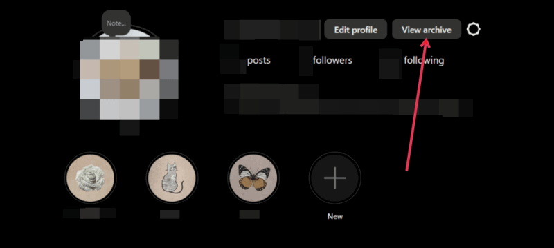 Нажав кнопку «Просмотреть архив» на странице профиля Instagram на ПК.