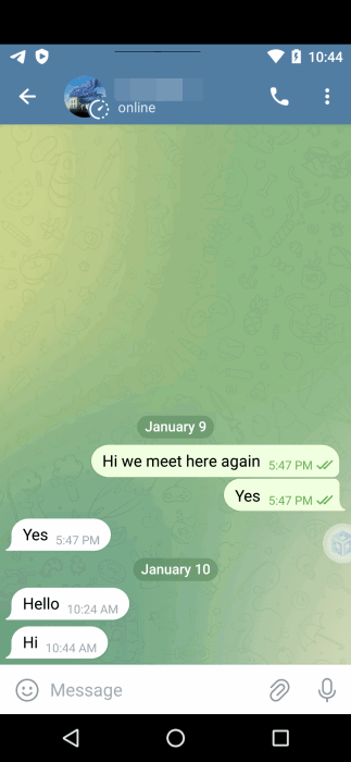 Скриншот секретного чата Telegram с использованием приложения Virtual Android.