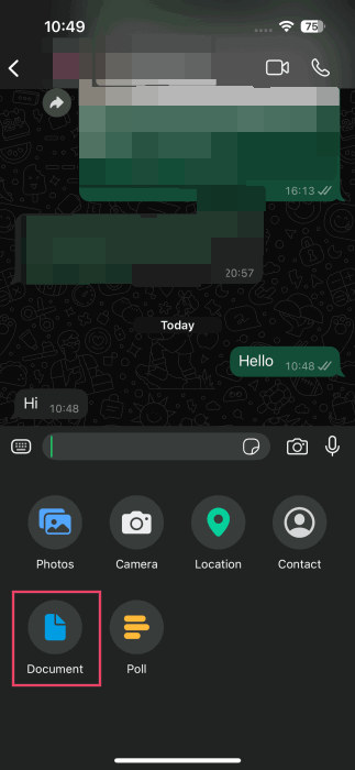 Выбор опции «Документ» в чате WhatsApp на iPhone.